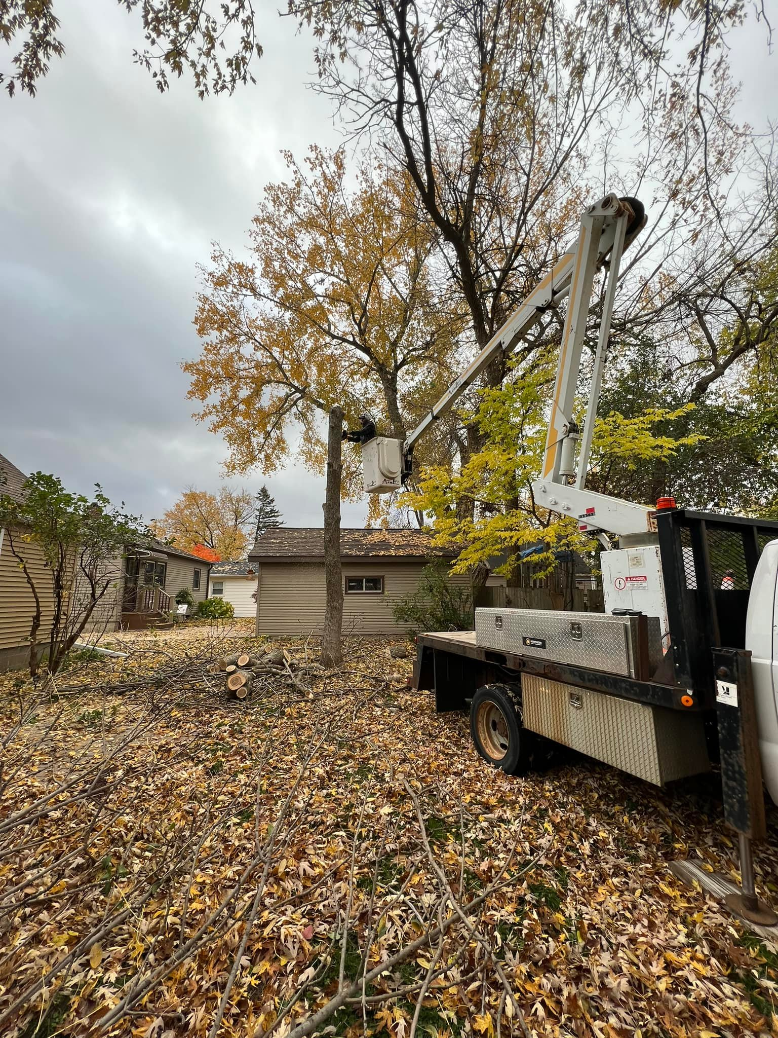 Clean View Tree Trimmers